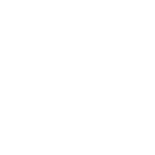double-window-icon