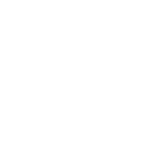 check-icon